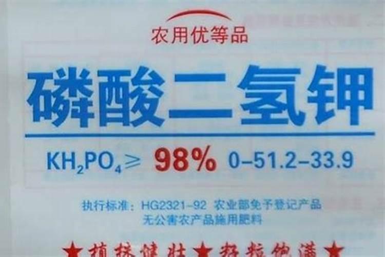 黄皮果施什么肥最好