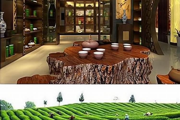 两棵大樱桃树遭受药害叶子已经枯黄无法喷施芸苔素解毒,可以用芸苔素...