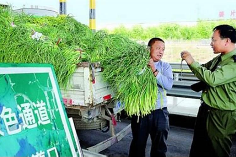 磷铵属于什么肥料