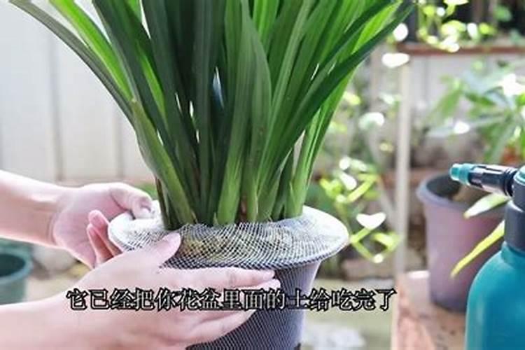 化肥尿素有保质期吗 尿素放几年还能用吗