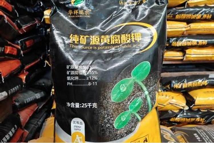 草莓如何培育壮苗？生长环境要求及管理事项果农须知!