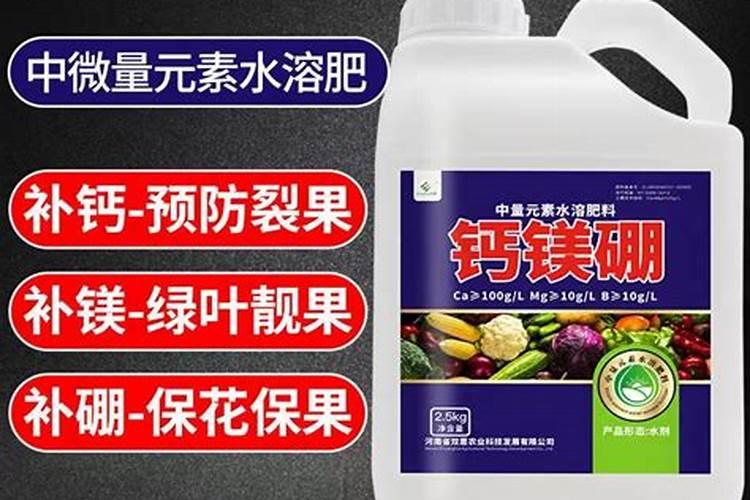 钙肥和硼肥能一起用吗