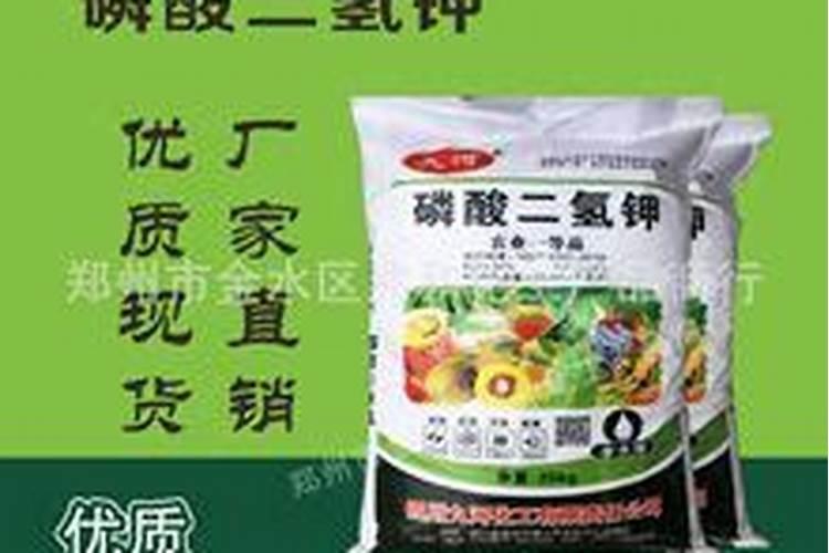 谷乐丰水溶肥价格