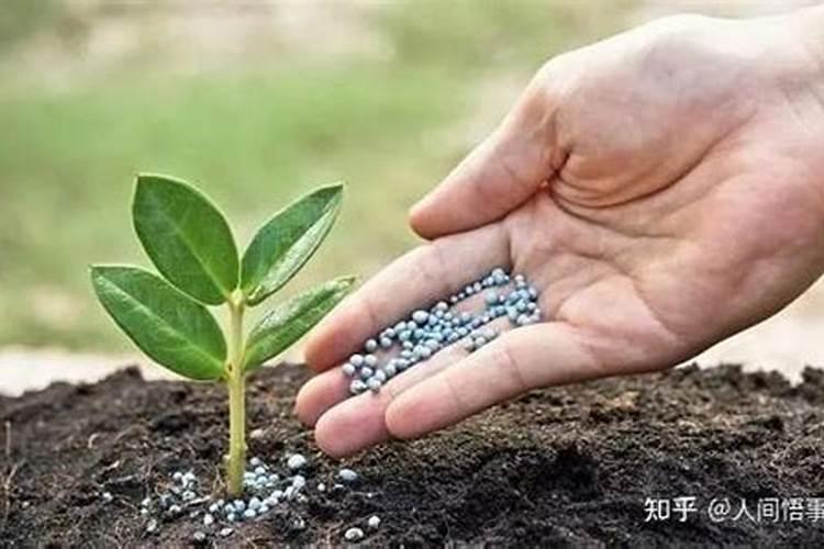 一亩地上了200斤磷肥怎么办