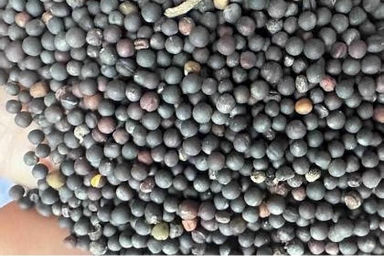 一亩地用多少硼肥