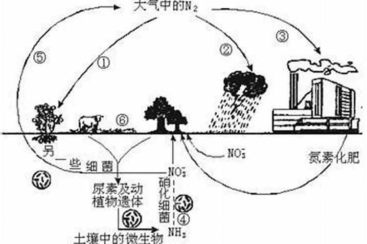 雷雨发庄稼的原理
