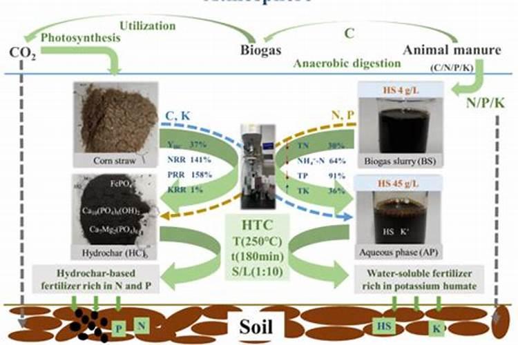 沼液中含有哪些营养成分？