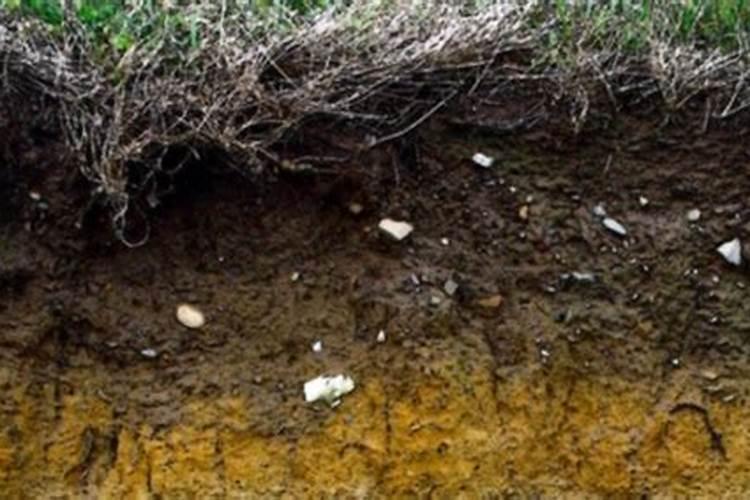 沼气肥料中N,P,K含量与作用的研究