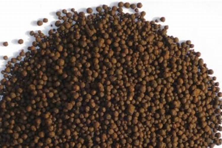 在种植黄豆的时候,为什么底肥不能施得太多呢？