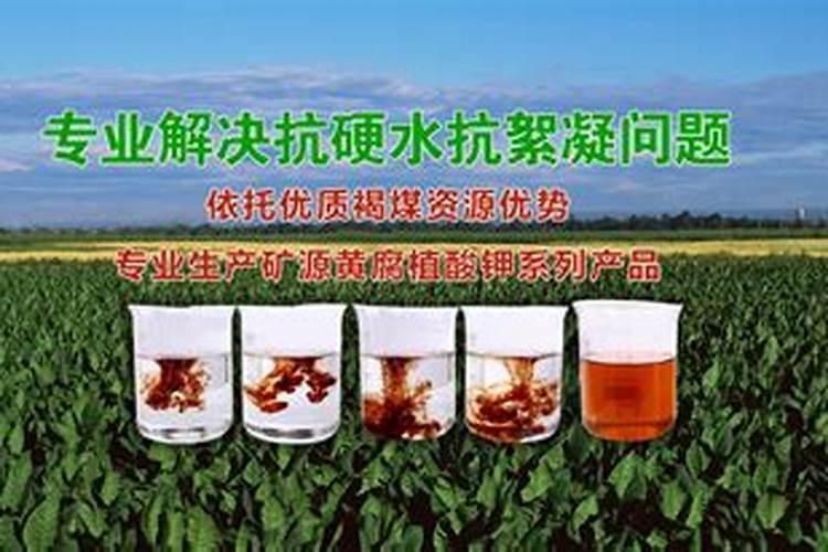 原神1.2版本单手剑腐殖之剑怎么得白垩与黑龙活动专属武器获取心得...