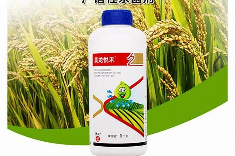 乌苏啤酒是怎样酿造的？