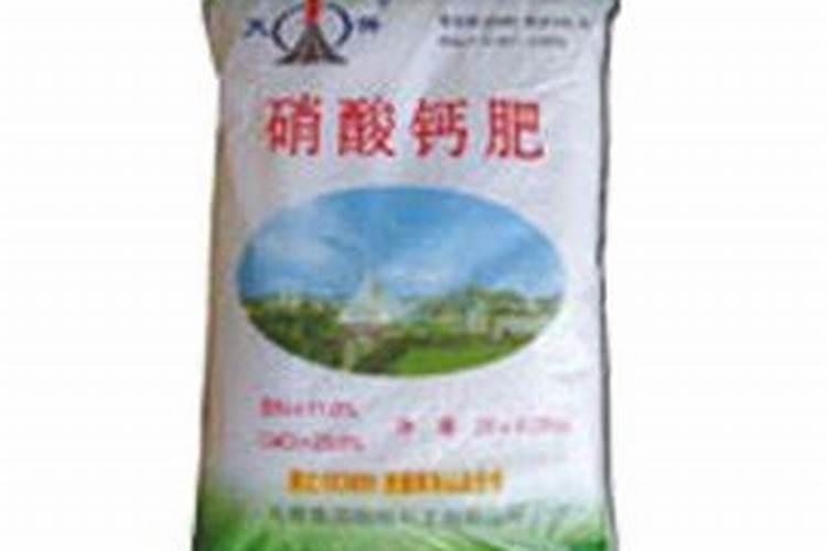 什么时候种萝卜 什么时候种植萝卜比较合适