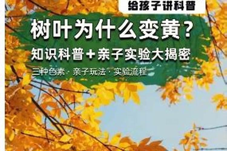 如何区别大量元素、中量元素、微量元素？