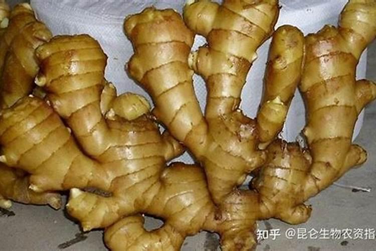 生姜用什么肥料做底肥最佳