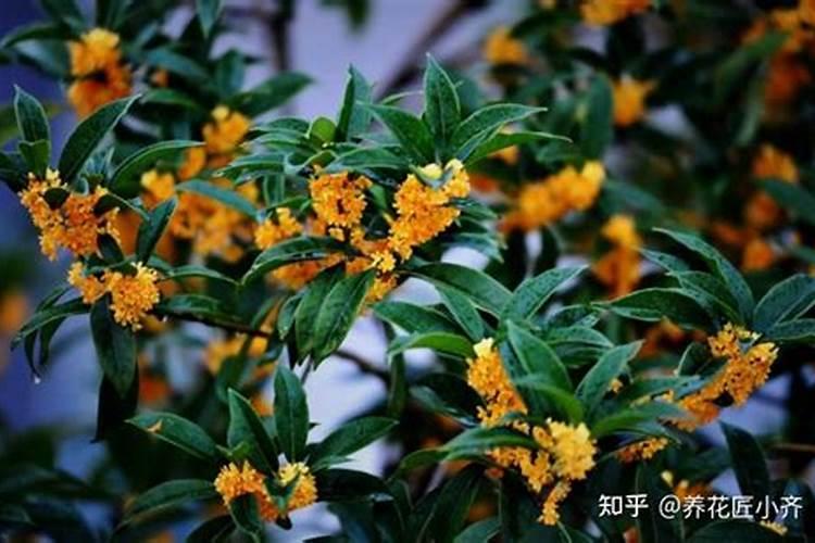 番茄种植土壤氮磷钾含量