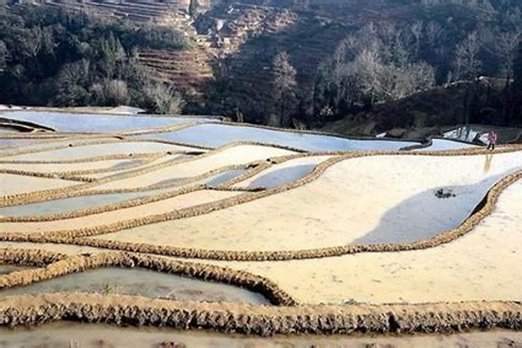 如何简单快速的辨别有机肥的质量？