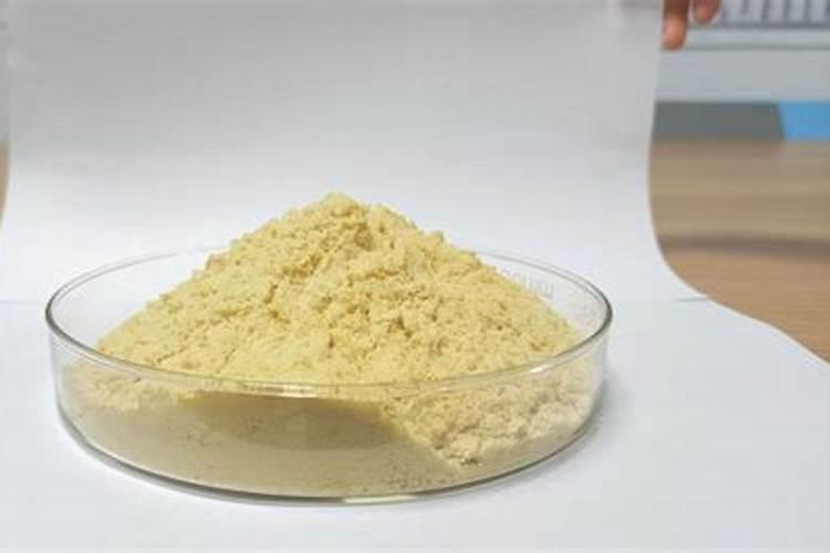 西红柿用什么肥料好