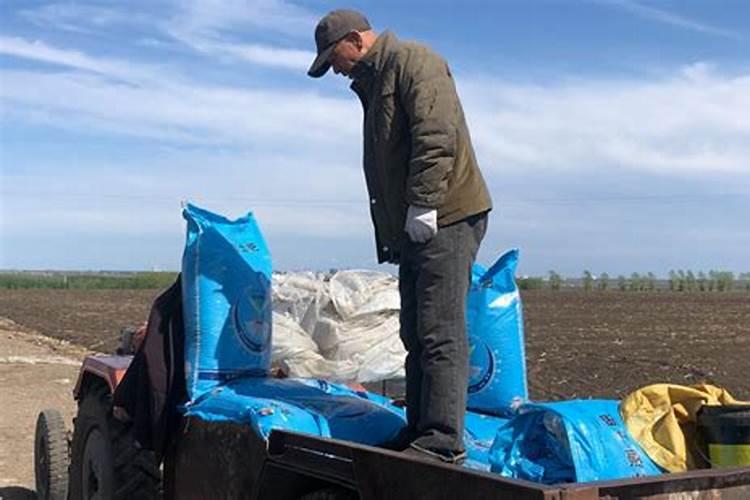 苏北玉米施肥方法和时间 苏北玉米施肥方法及时间