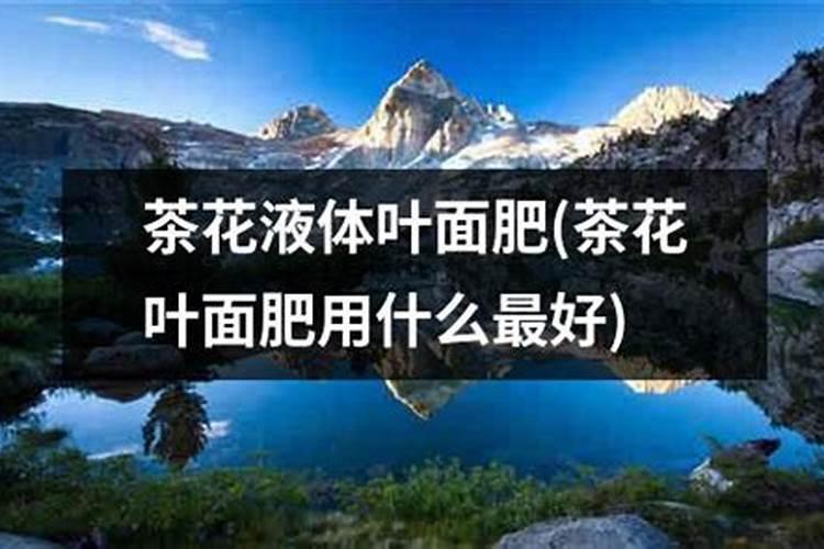 茶花用什么肥料好