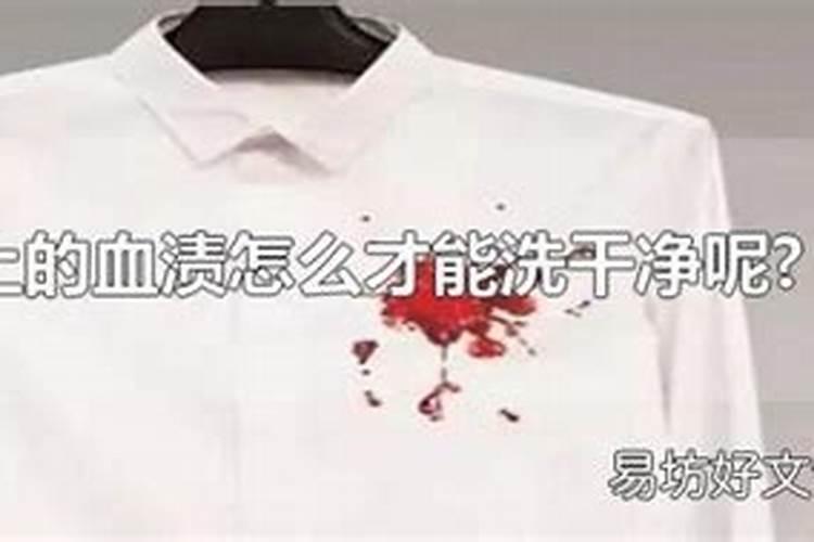 燕子掌用大盆还是小盆