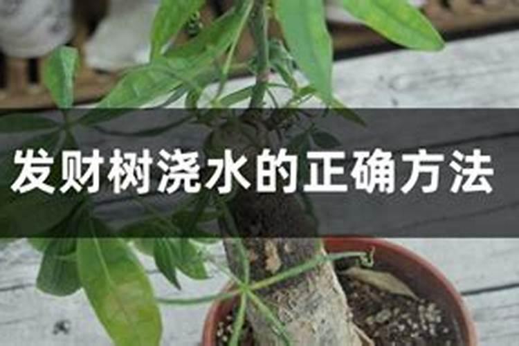 如何变别真假中化钾肥