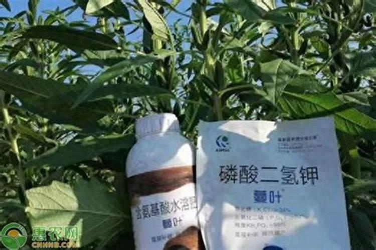 二氧化硅可以制造化肥吗