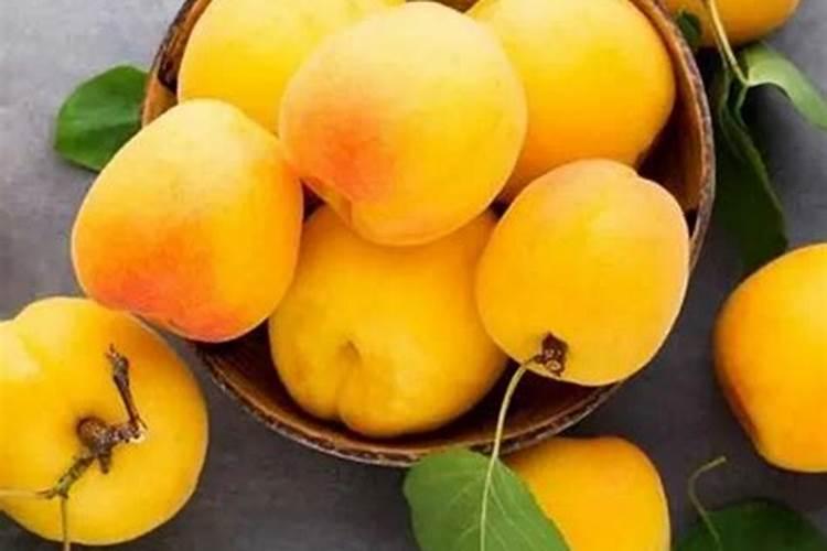 黄桃的施肥技术要注意什么 黄桃养殖注意事项