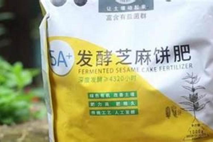 莲藕要种多久 种植莲藕需要多长时间