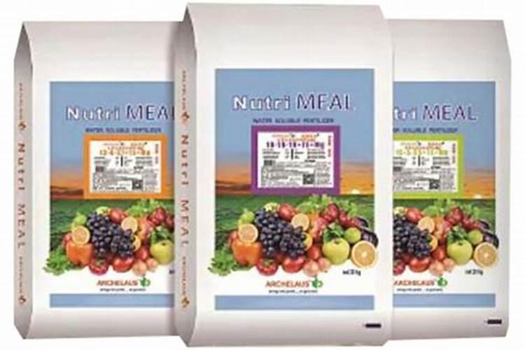 金盏菊什么时候播种最好