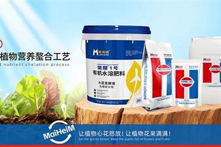 金盏菊什么时候播种最好(描述金盏菊种子的种植方法)