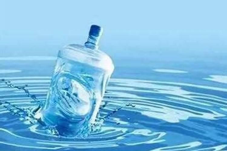 羽衣甘蓝幼苗下大雨能不能移栽