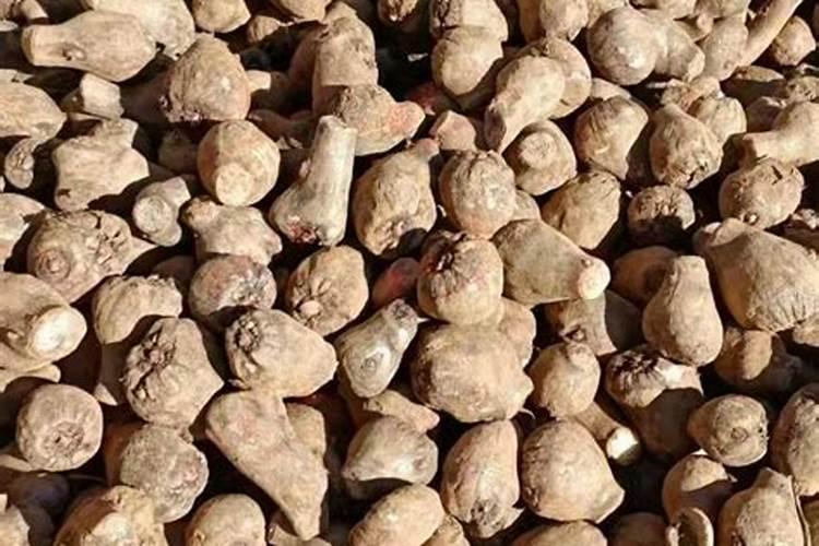 什么样的土质适合种莲藕