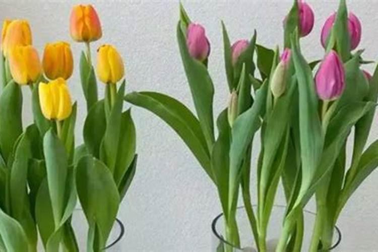 阿司匹林能与磷酸二氢钾混用吗？