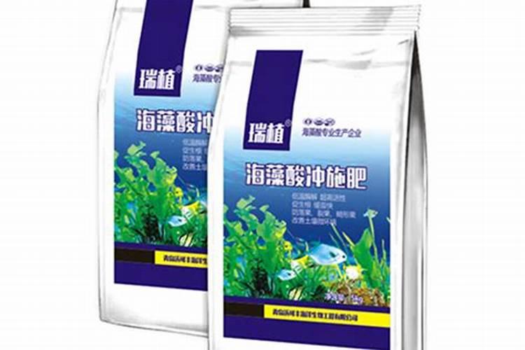 甜椒长到纽扣大小了,冲平衡肥料还是高钾肥料？