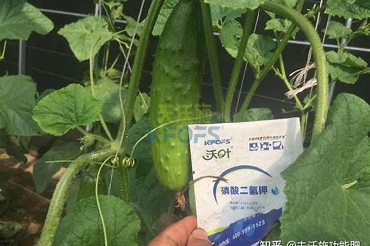 糖醇钼几%有几种