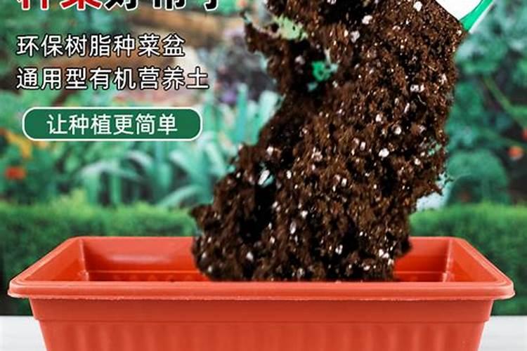 花盆种菜怎么施肥 花盆种菜如何施肥