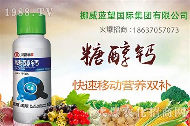 甜瓜如何施肥 甜瓜施肥的时间和方法