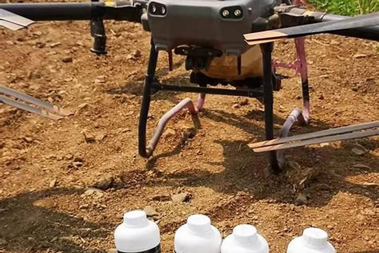 水溶肥可以不兑水用吗 水溶肥料兑水比例是多少