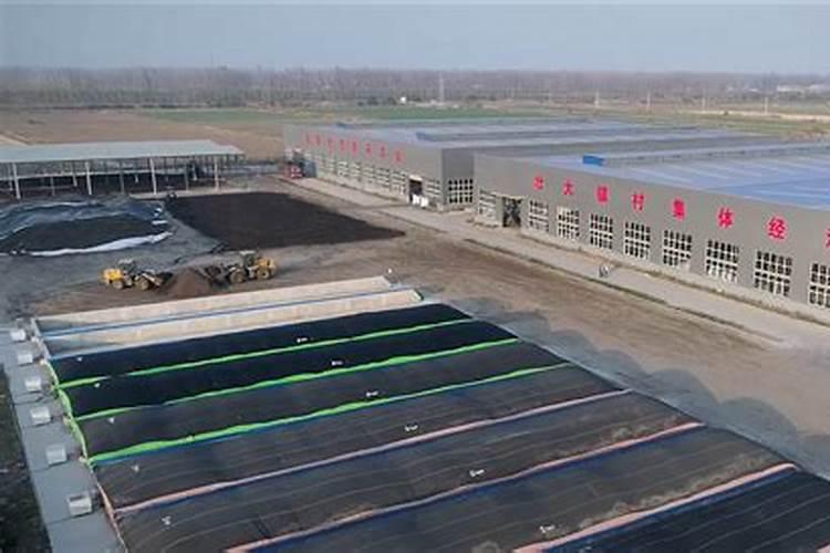 滁州市肥月旺有机肥有限公司怎么样？