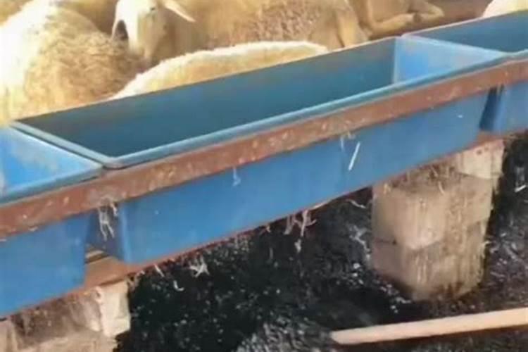 复合肥怎么使用正确