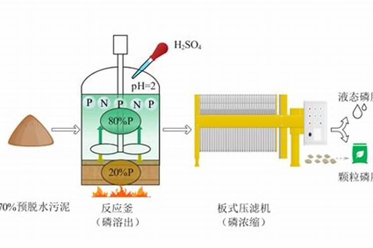赤霉素和表芸内酯混用在茶树上有什么效果