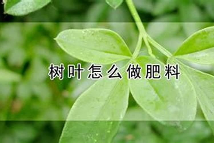 野菜有多少种类？