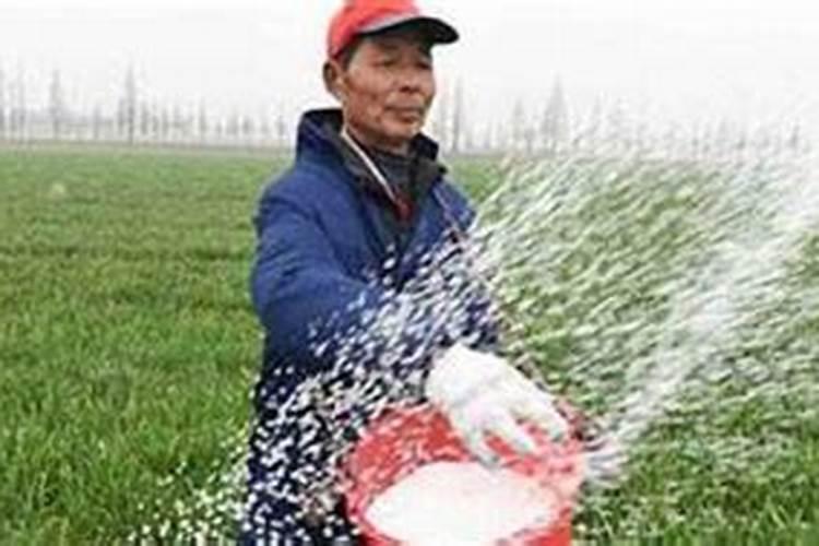 草木灰是什么肥料