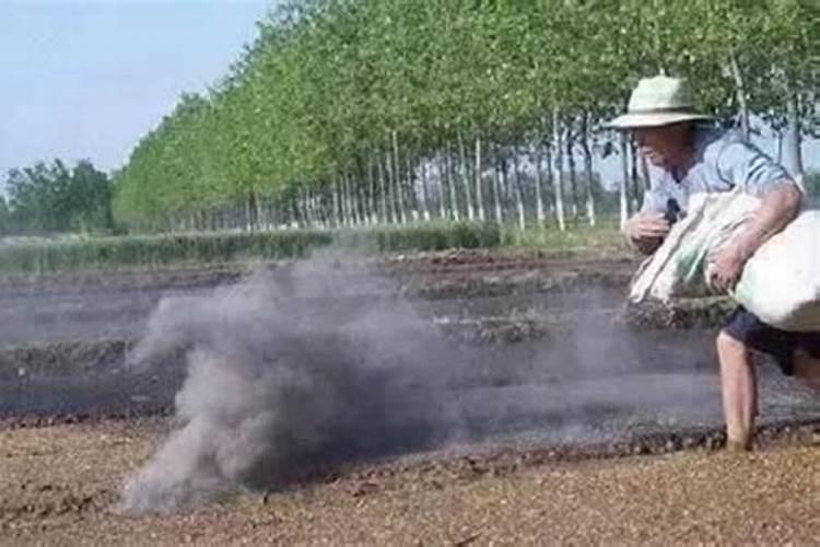 请问一下草木灰怎么用于施肥