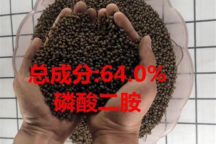 二胺适合开花的还是长叶子的