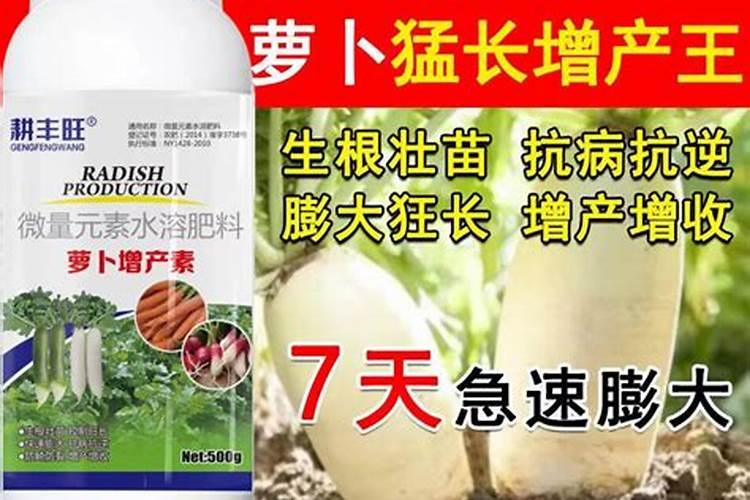 种植水萝卜在果实的膨大期,使用肥料时都该注意哪些？