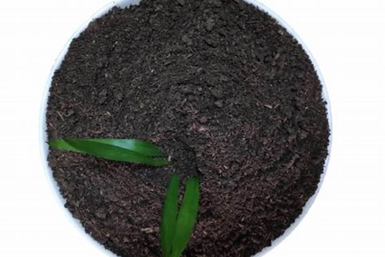 农作物浇红糖有什么好处？