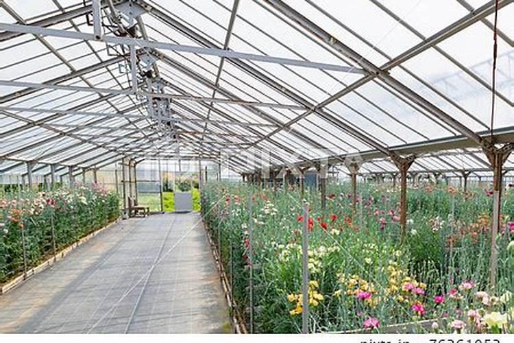 钾肥磷肥氮肥分别有什么作用