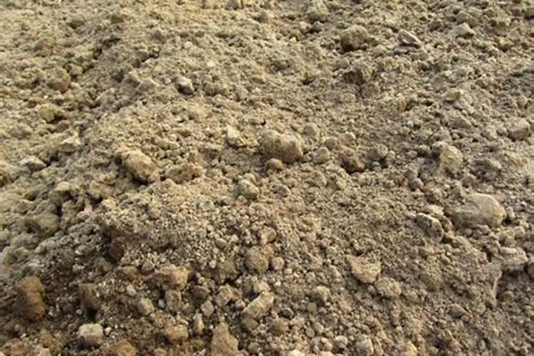 有机肥问题,如图上的产品,这个有机肥是真的吗？ 好吗？