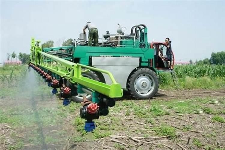 黄豆水浇花有什么好处和坏处 哪些花适合浇黄豆水